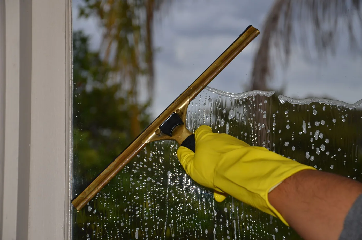 Squeegee removing water from a window