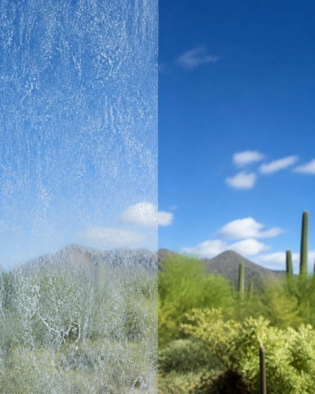 Alexanders Window Cleaning milestone 2010s: Window & Windshield Restoration